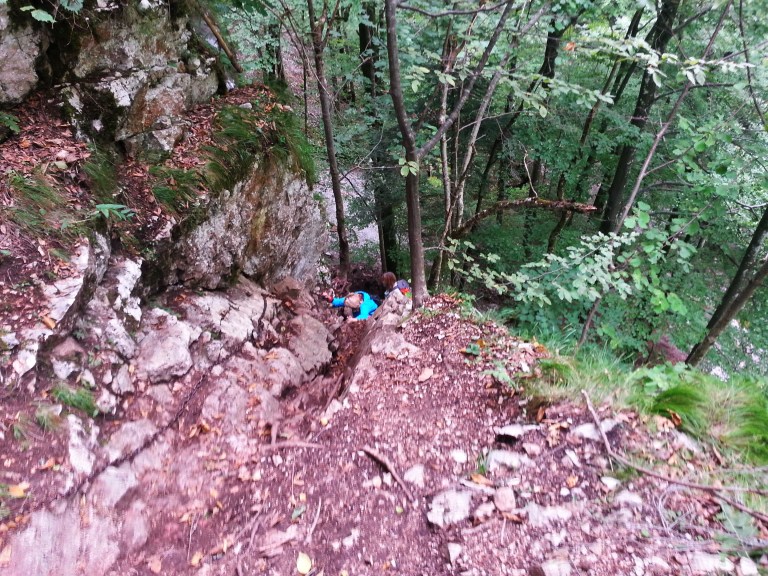 poze Florin (30).jpg