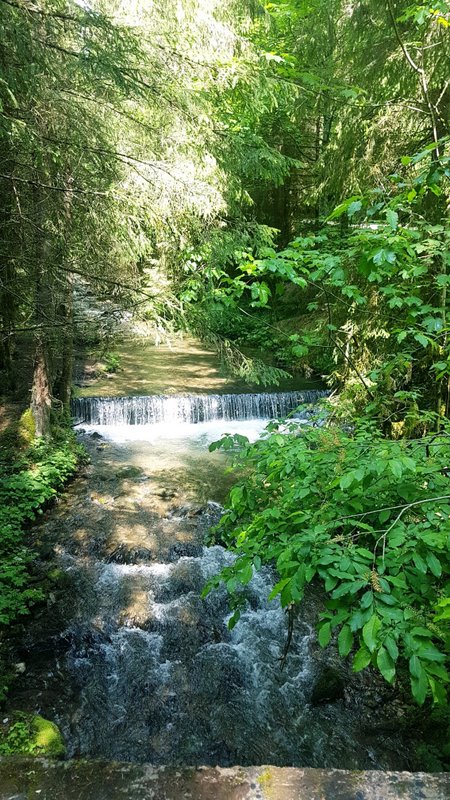 33748801_1920235228051745_3984589452835028992_n