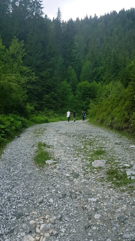 33751415_1920219608053307_4522104206202503168_n (1)