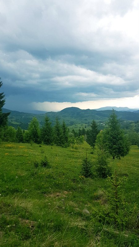 33812643_1920163794725555_8563628570147028992_n