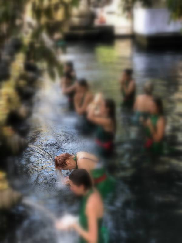 43028828_260509121271930_4557941640953593856_n