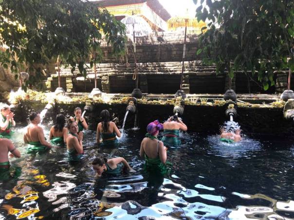 43059029_264310257592203_8730175242833494016_n